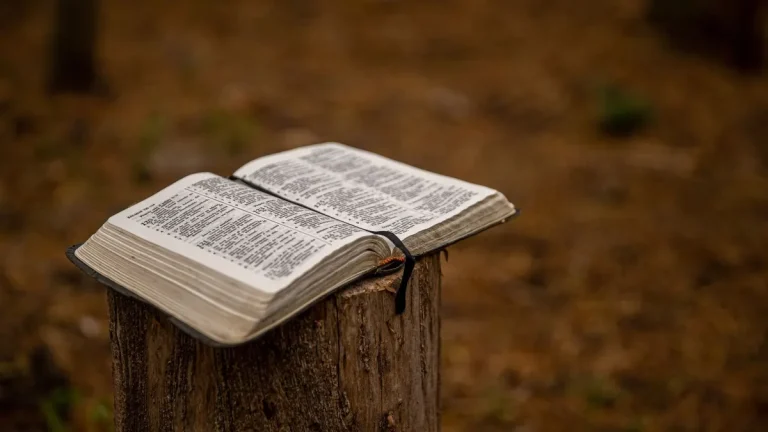 Open Bible placed on a tree stump outdoors, symbolizing faith in nature.